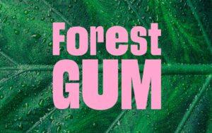 Forest Gum Logo auf Blatt