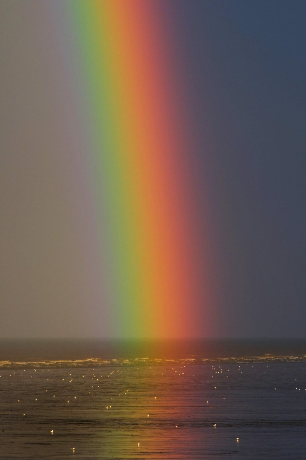 Valloloko Regenbogen Foto von Zoltan Tasi auf Unsplash