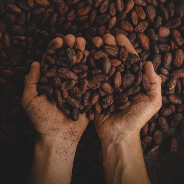Pablo Merchan auf Unsplash Kakaobohnen Hände
