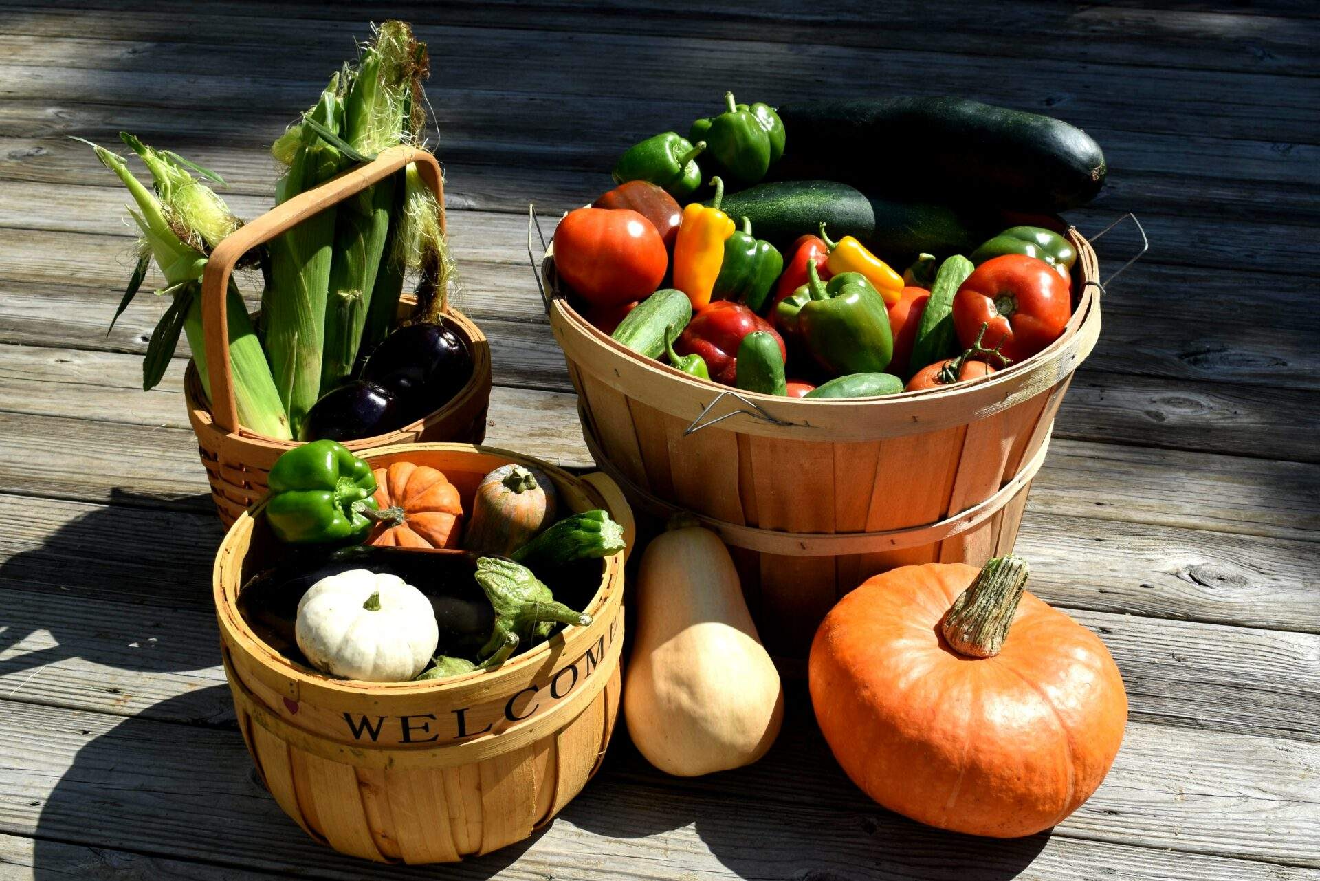 Gemüse draußen kühlen Energie sparen im Herbst 5 Tipps